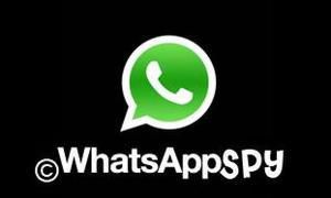 whatsapps